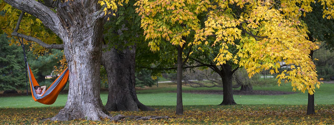 Distant shot of a student hammocking on campus on a fall dat