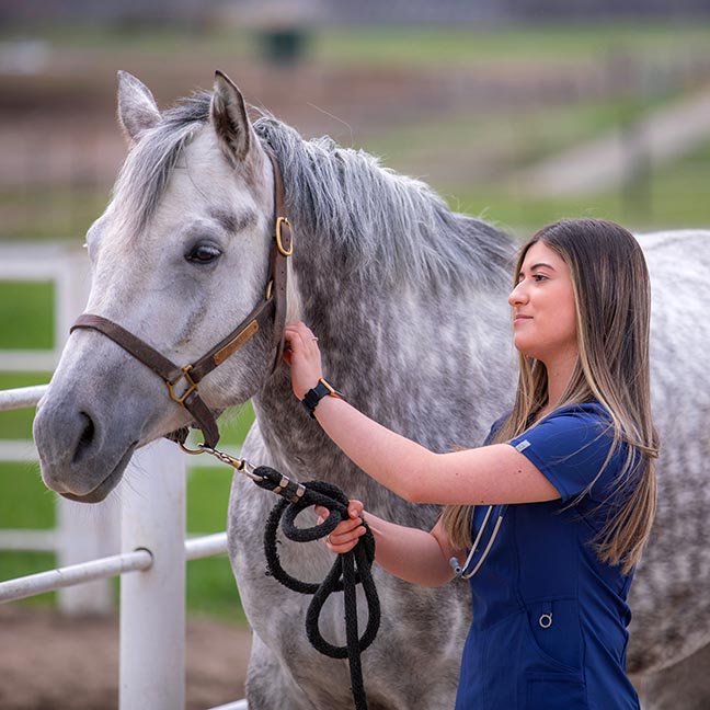Valeria Miranda Ortiz poses with a dapple grey horse