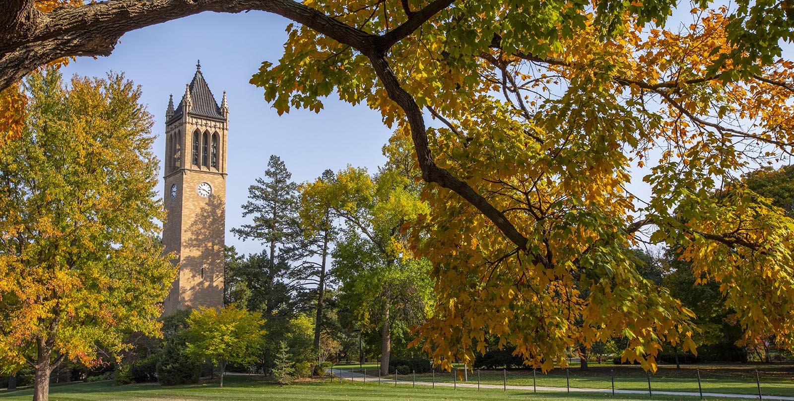 Fall view of the campanile