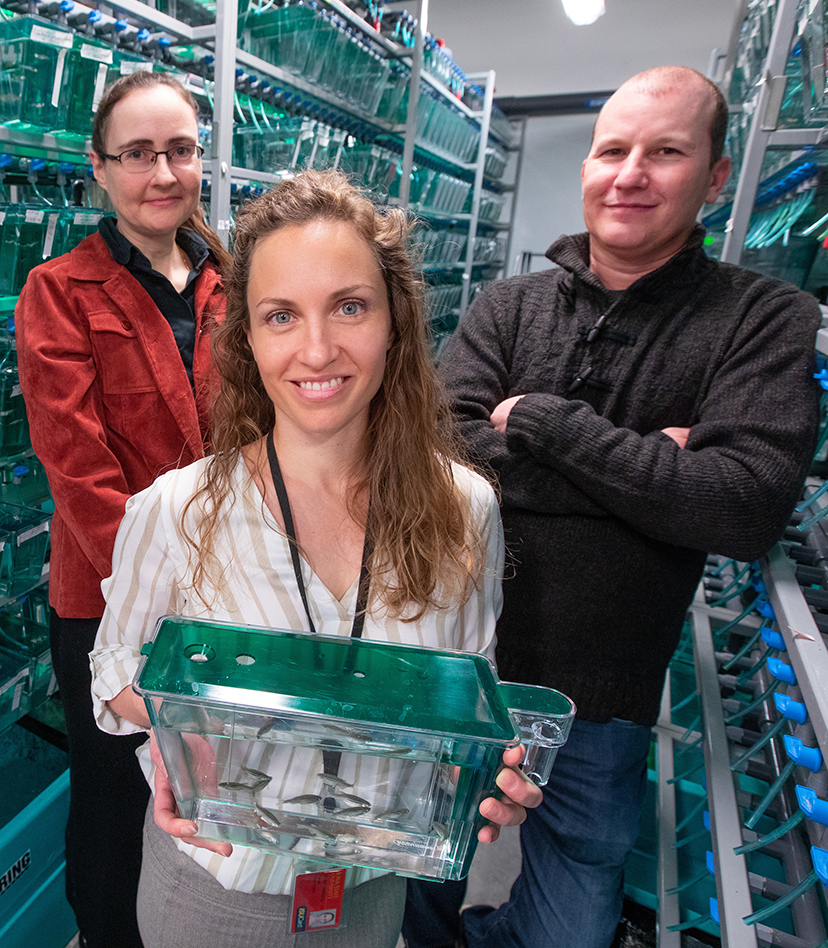 Raquel Espin Palazon and co-investigators Karin Dorman and Clyde Campbell in the zebrafish room in the basement of the Advanced Teaching and Research Building