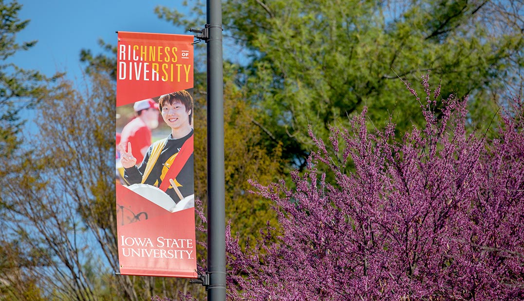 Banner promoting "Richness of Diversity" pillar of the Principles of Diversity.
