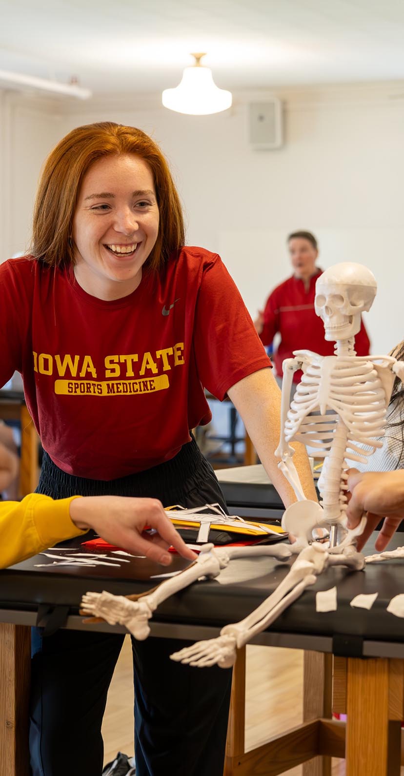 Athletic training students study a miniature skeleton in a lab.